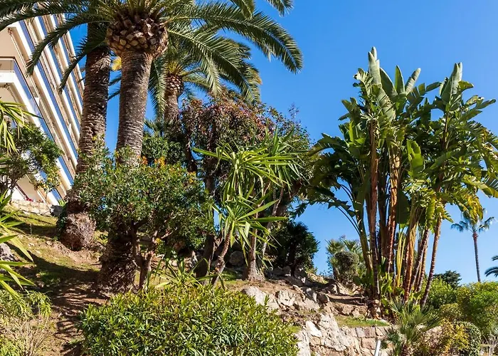 Super Cannes Sea Side *